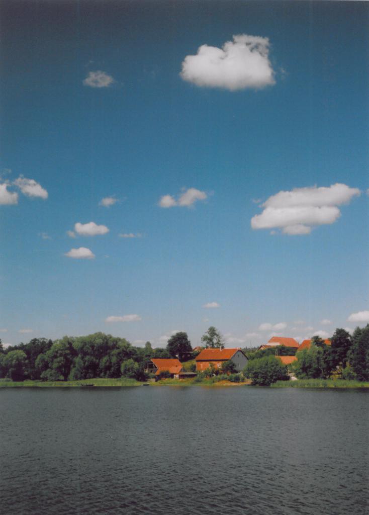 szelag wielki (2)
